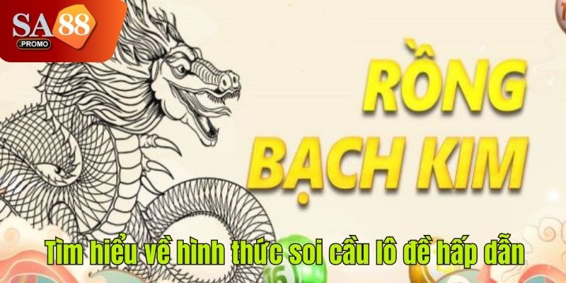 Tìm hiểu về hình thức soi cầu lô đề hấp dẫn